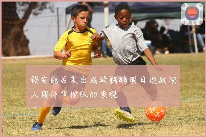 锡安能否复出成疑鹈鹕明日迎战湖人期待华佗队的表现